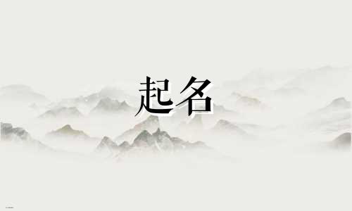 庄河有哪些起名大师店