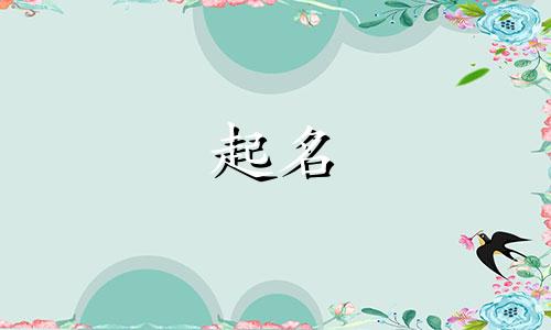 网络应用起名技巧有哪些