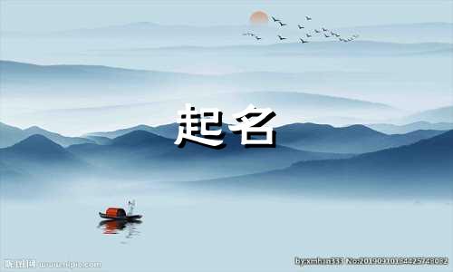 懒得起名的圆子有哪些