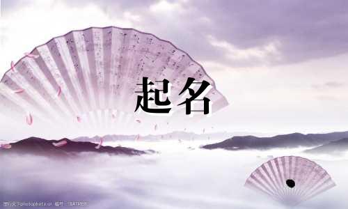 博美犬起名字哪些好听