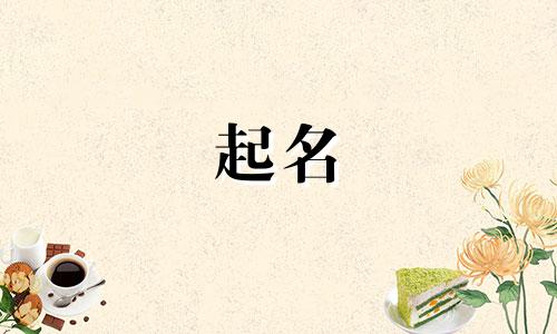 起名押韵好记的有哪些