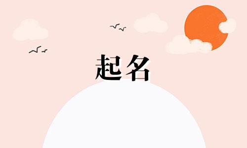 菜单起名前缀有哪些字体