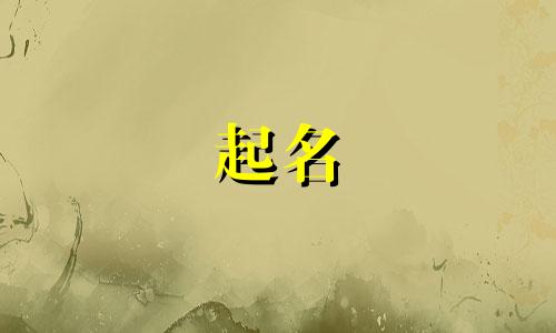 广西的起名大师有哪些