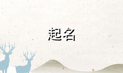 哪些英语单词可以起名