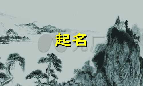 舞蹈学校起名软件有哪些