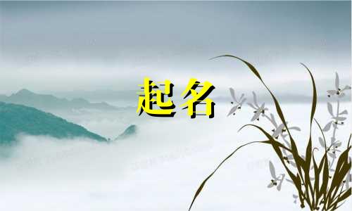 起名哪些字最好听男孩