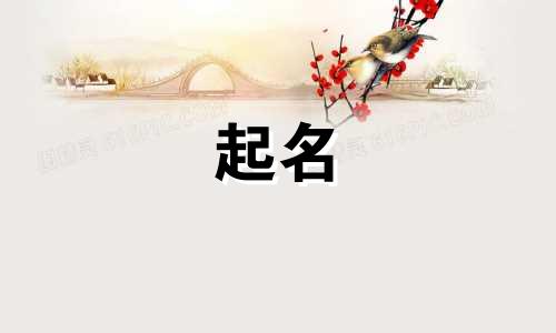 哪些字起名增加财运好呢