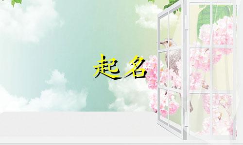 视频起名套路有哪些方法