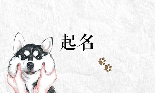 婴儿起名方案有哪些名字