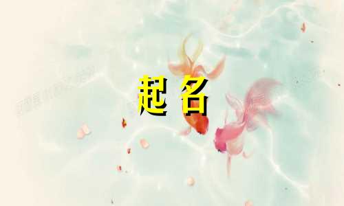 情感账号起名都有哪些字