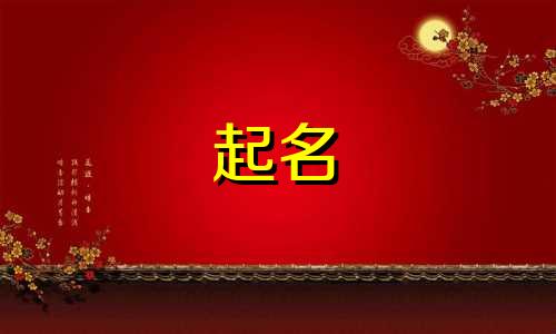 给瓷器起名方式有哪些