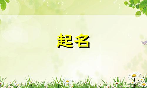 菜单起名前缀有哪些字