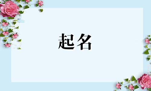 小字起名的公司有哪些