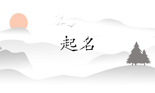 植物结合动物起名有哪些