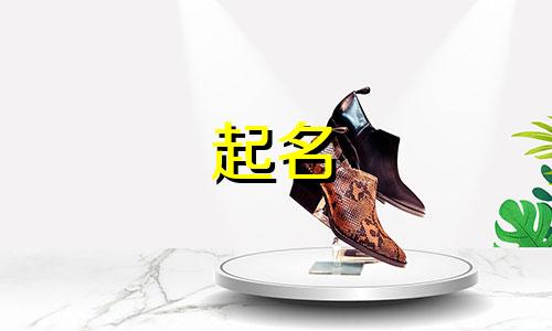 聊城高端公司起名有哪些