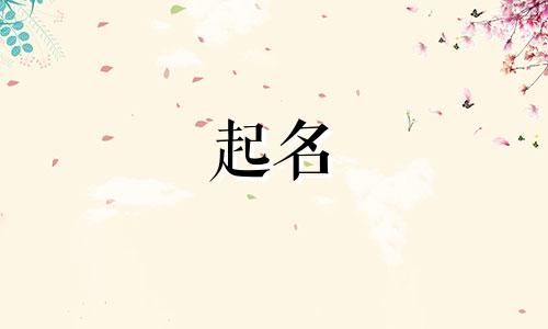 懒得起名的歌曲有哪些