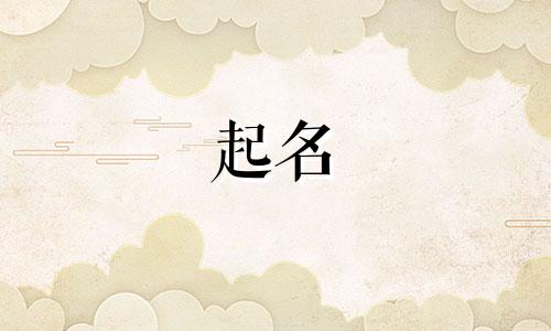 起名随便的熊猫有哪些