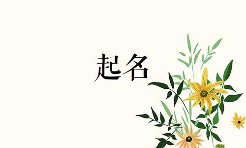 品牌起名小香风有哪些