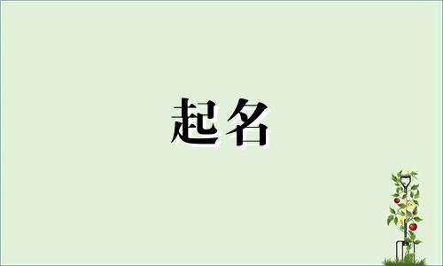 苗族起名方式有哪些男孩