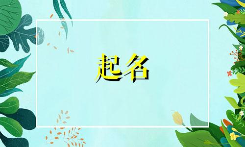 薄荷起名饮料有哪些牌子