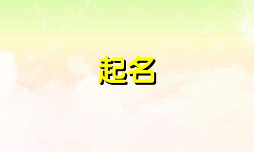 宠物起名派别有哪些名字