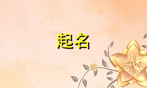 兵器起名软件有哪些好用