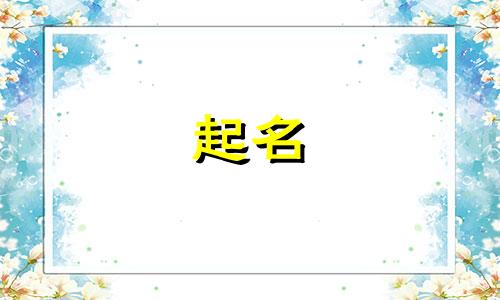 公司起名哪些字不能用