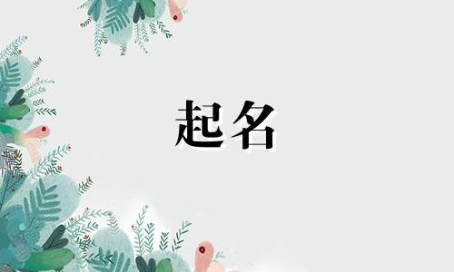 起名占卜软件有哪些好听