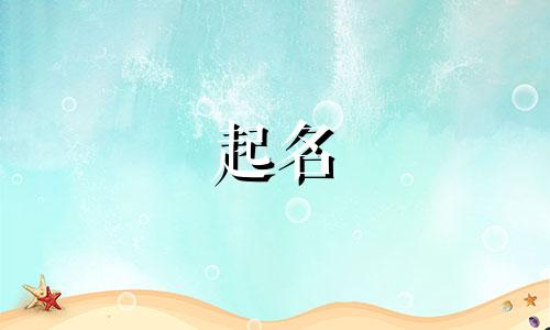 小店起名方法有哪些字母