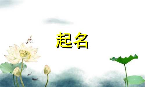 起名都注意哪些字母呢