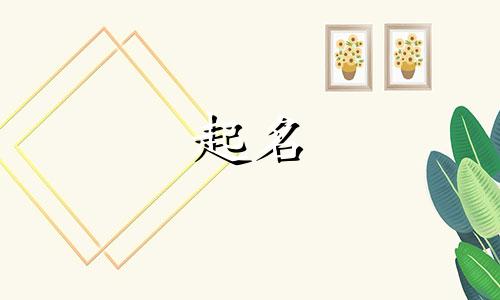 小狗起名用字有哪些呢