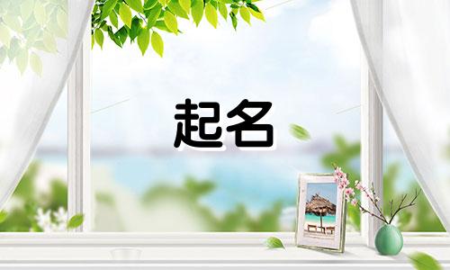 南昌品牌起名平台有哪些