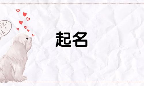 起名衬字有哪些好听女孩