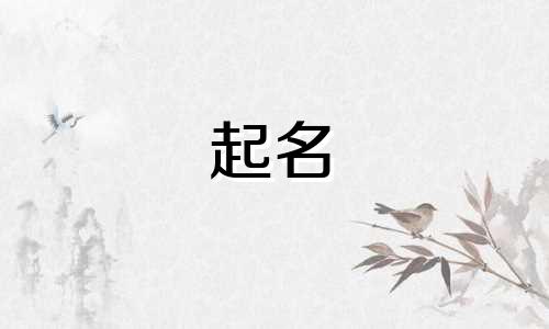 作者起名神器有哪些名字