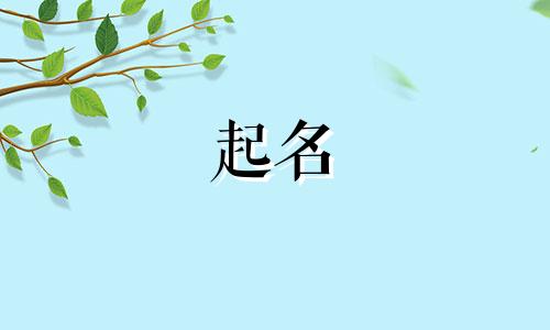 虚拟城市起名软件有哪些