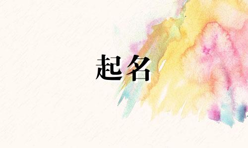 企业随机起名软件有哪些