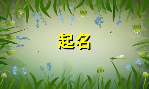 太原培训项目起名有哪些