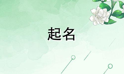 儿子起名男生用字有哪些