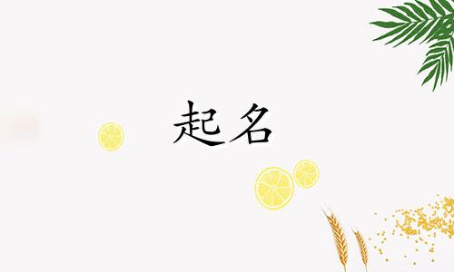 监控起名软件有哪些好用