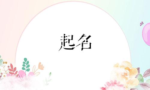 汽车金融起名公司有哪些