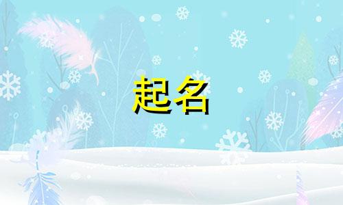 随机起名机器软件有哪些