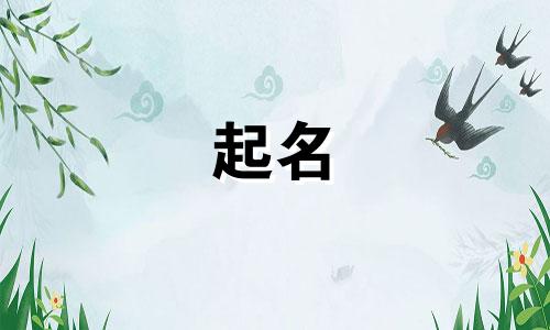 护理师傅起名技巧有哪些