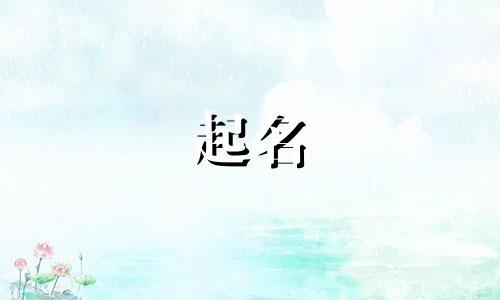 网文起名玄学大师有哪些