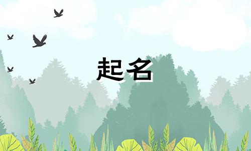 手机起名符号有哪些字母