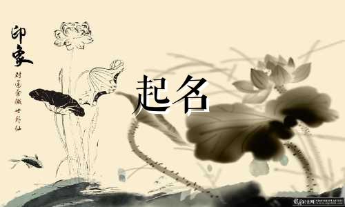 婴儿起名程序有哪些规定