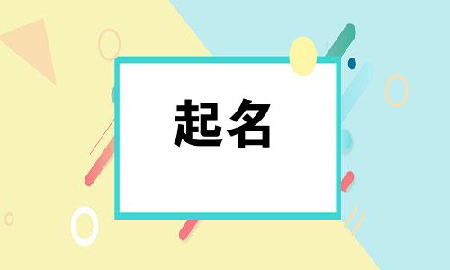 猫咪起名游戏有哪些名字