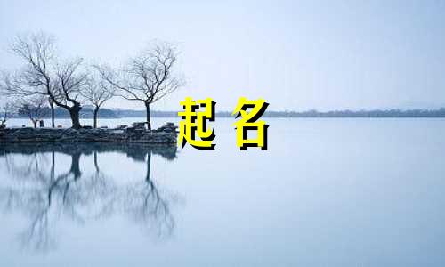 关于乐器的起名有哪些