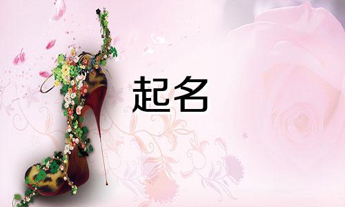 起名大师奇葩名字有哪些