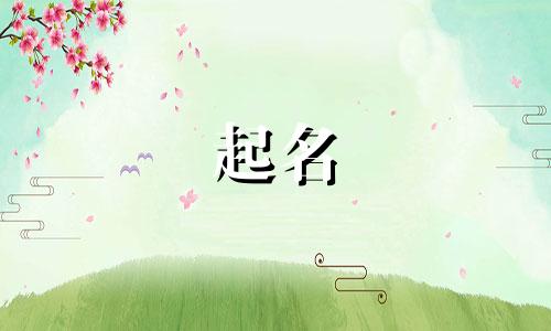 男孩起名的字都有哪些