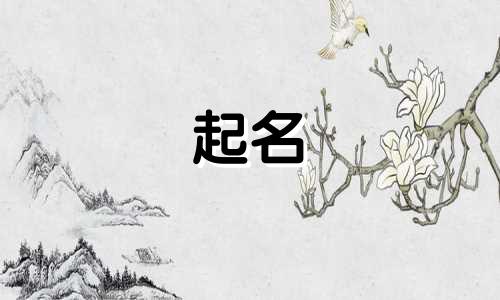 企业起名软件传媒有哪些